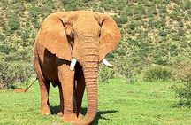 3 Days Adventure Tour in Masai Mara