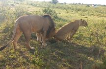 3 Days Adventure Tour in Masai Mara