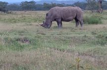 3 Days Adventure Tour in Masai Mara