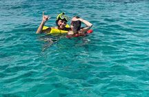  Nassau: Half Day Reef Snorkeling, Turtles & Swimming Pigs