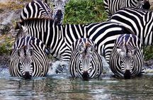 Private Safari in Tarangire National Park