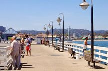 Santa Cruz Guided eBike Ride & Most Fun Bike e-Bike Tour 