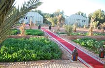 Desert Tour from Fes to Marrakech by Merzouga 3days 2nights trip