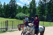 Full Day Private Tour in Terelj National Park with Horse Riding