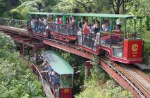 [Stevong Travel] West Coromandel Day Tour