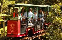 [Stevong Travel] West Coromandel Day Tour