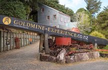 [Stevong Travel] West Coromandel Day Tour