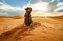 Star Gazing Safari Tour by ATV Quad and Dinner in Sharm El Sheikh
