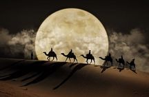Night Desert Safari, Stargazing, Dune Driving & Inland Sea Visit
