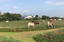 Windmills, Cheese & Countryside Electric Bike Tour