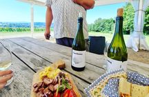 Private Wine Tasting at Vineyard From Krakow