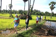 A Morning in the Cambodian countryside