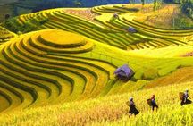1 Day Sapa Tour Explore Y Linh Ho And Lao Chai And Ta Van Village