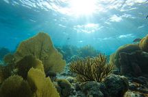 Marine Park Snorkeling - Private Boat with LOCAL Captain/ Guide 
