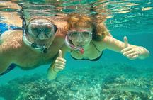 Maui Beach Shoreline Snorkel