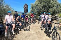 Small Group Guided E-bike Tour in Nice's Organic Vineyard