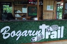 Bogarin Trail Sloth Guided Tour