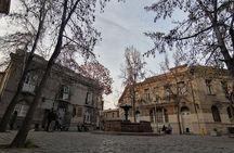 2-Hour Walking Tour of Yungay The Coolest Neighborhood in Chile