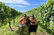 Long Island Wine and Food Day Trip with Sommelier host from NYC
