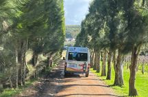 Waiheke Island Winery Tour