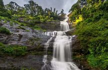 3 Nights Private Kerala Premium Package by Sanguine Holidays