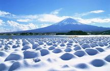 Mt.Fuji Tour: 3-Parks & The Healing Village in Fujiyoshida, Japan