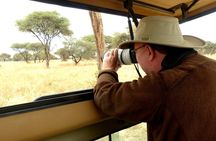 Private Guided Day Trip in Tarangire National Park