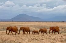 4 Days Private Safari Tour Tsavo and Amboseli from Nairobi