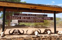 4 Days Private Safari Tour Tsavo and Amboseli from Nairobi