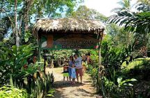 Chocolate Tour & Tortuguero Boat. Puerto Limon shore excursions