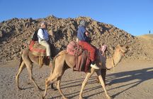 5-Hours Quad Bike Safari Desert with Oriental show in Hurghada