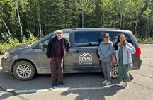 Denali-In-A-Day Sightseeing Tour