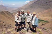 Day Trip to the the Atlas Mountains with Camel Ride