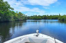 Sightseeing Cruise/Narrated Tour - Private 4 Hour