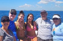 Sightseeing Cruise/Narrated Tour - Private 4 Hour