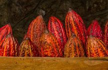 Half Day Bliss Cacao Farm Adventure & Guayaquil City Highlights