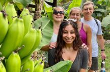 Half Day Bliss Cacao Farm Adventure & Guayaquil City Highlights