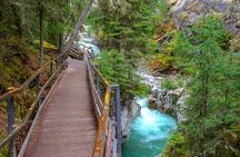 Private Banff Day Tour Lake Louise, Moraine, Peyto & More Sights!