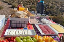 Full Day Tour to Ruta de los Salares
