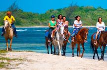 Private Transfers to ATV, Zipline & Horseback Rides w Extra Stops