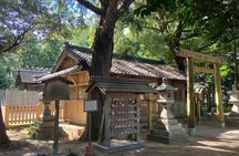 Fortune-Telling through Oriental Astrology near Ise Jingu