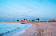 Semi Private Abu Dabab Tour With Turtles & Dugong from Hurghada 