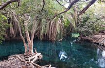 Two Days of Adventure Ngorongoro and Materuni Cultural Immersion