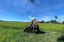 Hoi An Countrysides Discovery Private Bike Tour