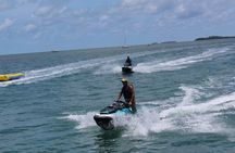 Key West Tours from Miami: Dolphin Discovery, Snorkeling & More !