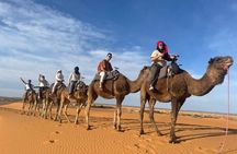 4 Days Group Tours From Fes to Marrakech via Merzouga