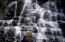 Best of Ubud Waterfalls : All inclusive & Private Trip