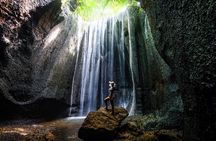 Best of Ubud Waterfalls : All inclusive & Private Trip