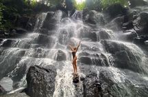 Best of Ubud Waterfalls : All inclusive & Private Trip