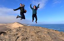 Sandwich Harbour 4WD Morning Half Day Guided Tour from Walvis Bay